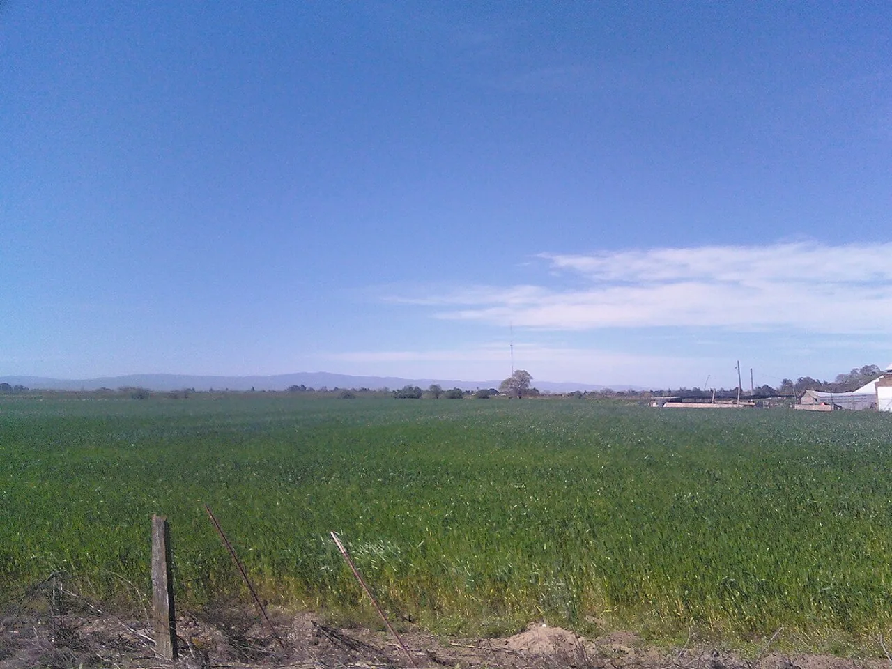Commercial Roof Repair and Planned Renewal in Riverdale, CA