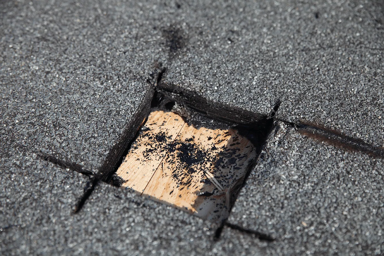 infrared investigation of suspected damp areas